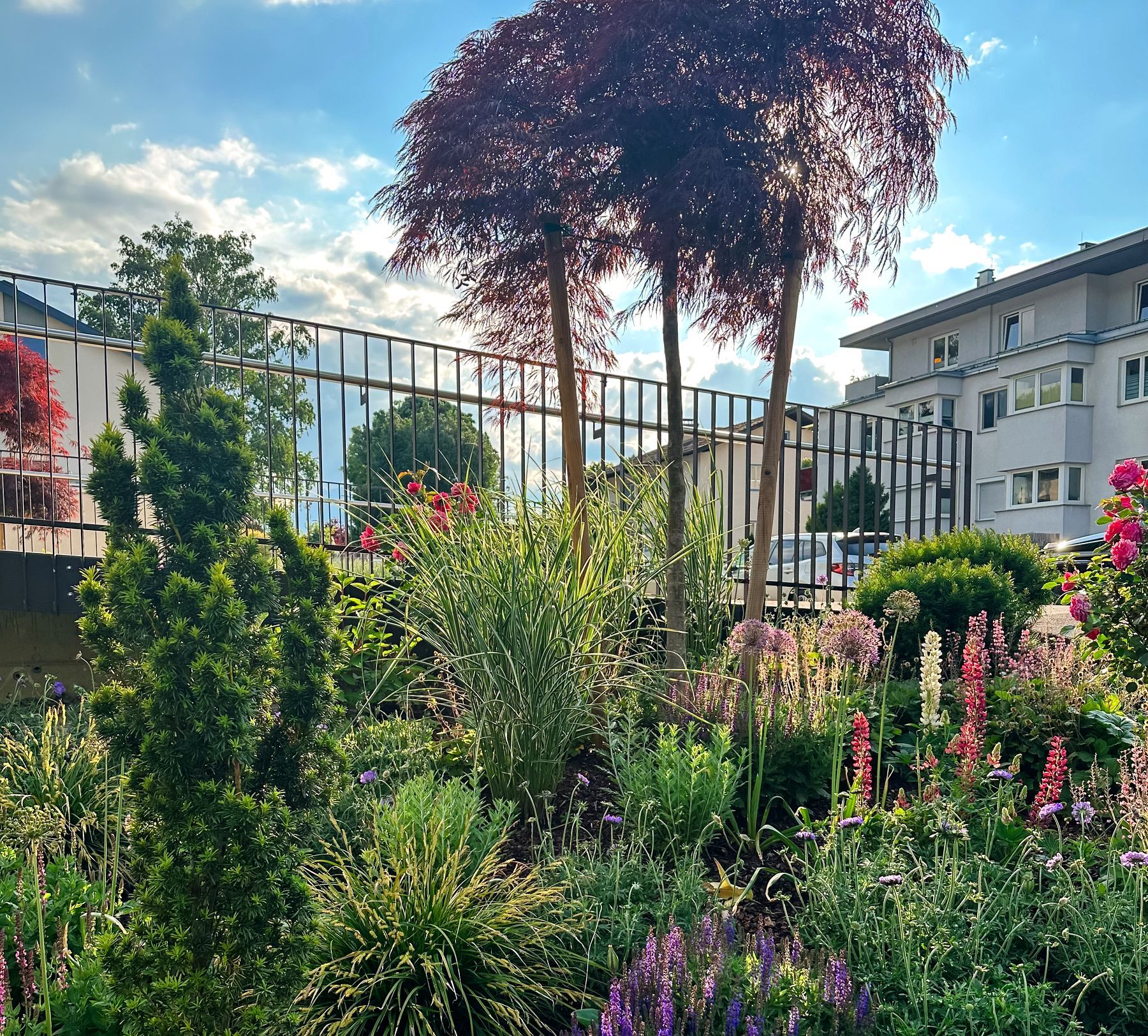 Gartenraum mit klarer Pflanzung