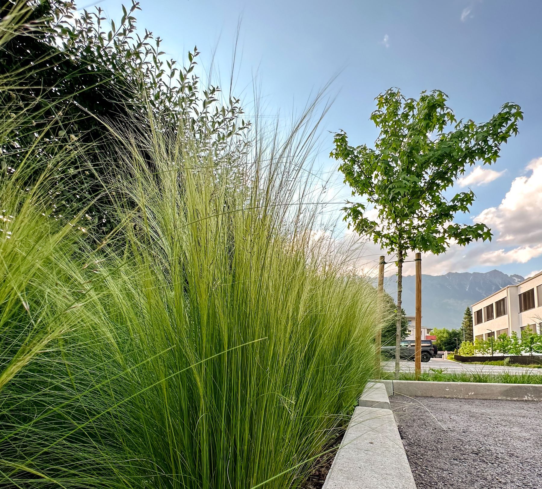 Gartengestaltung mit Gräsern und Stauden