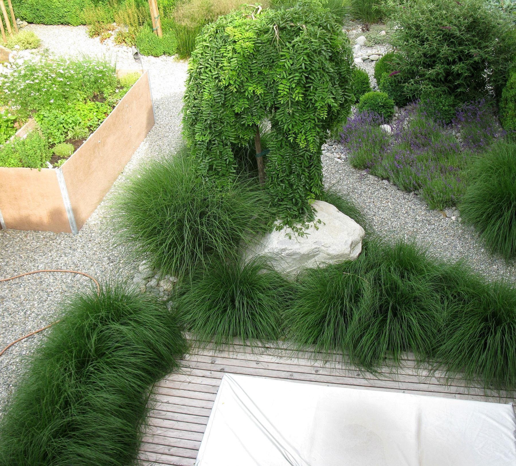 Gartenpflege: Wege, Gräser und klare Beete