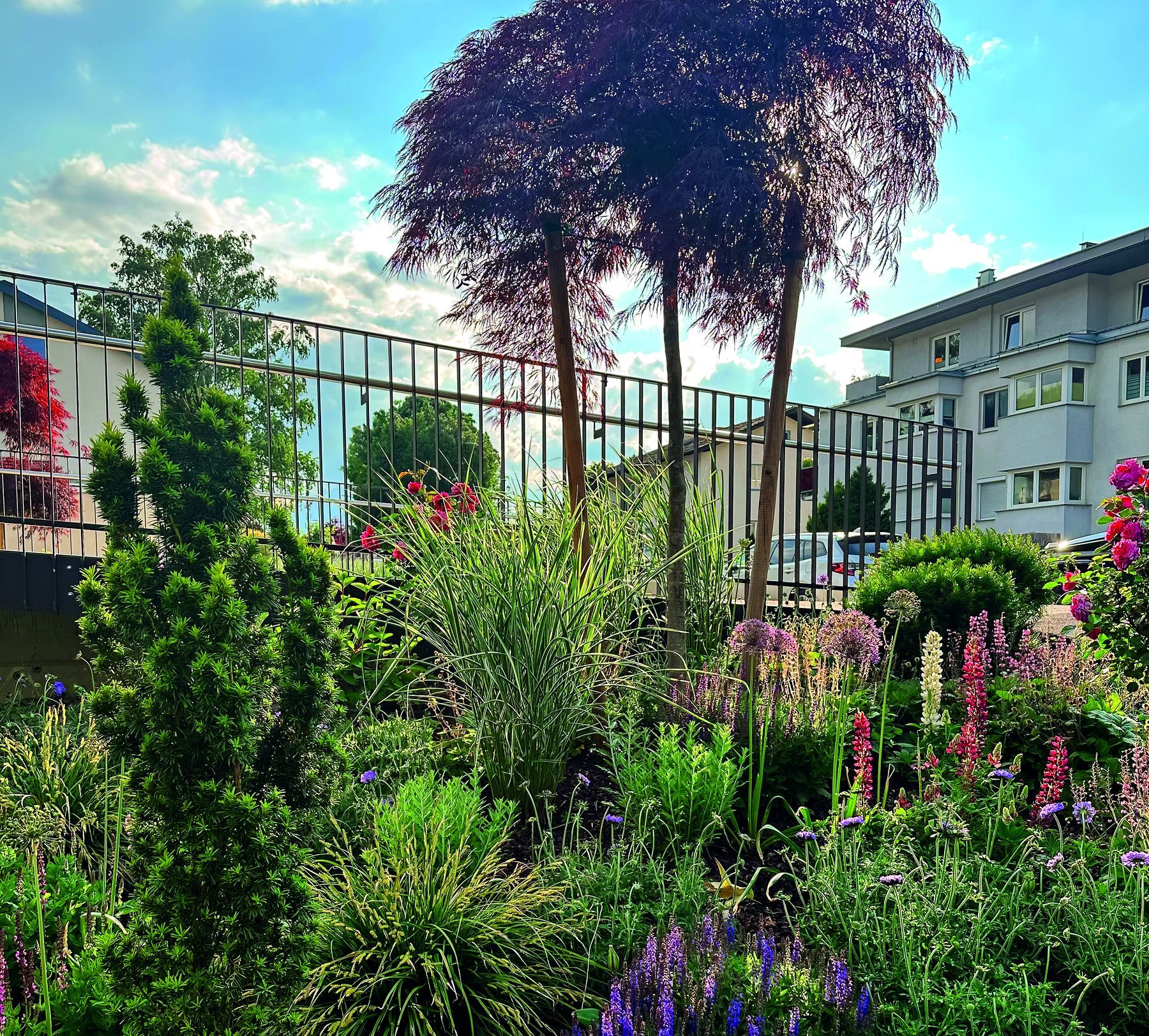 Gartenraum mit Weite und Pflanzung