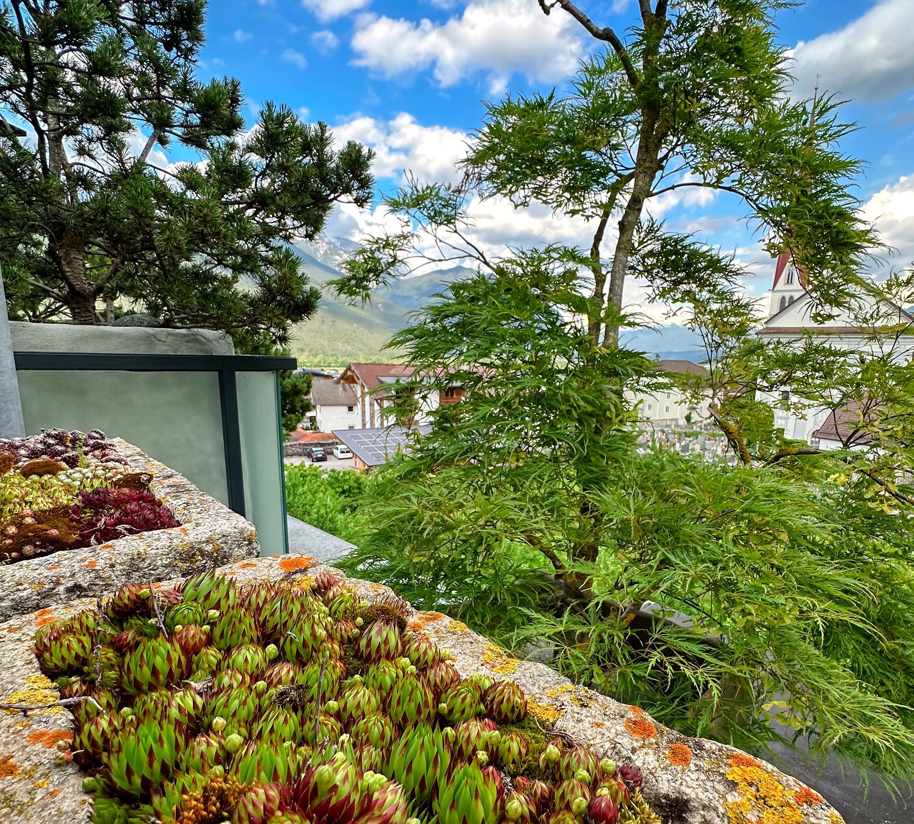 Gefäß als Raumteiler auf der Terrasse