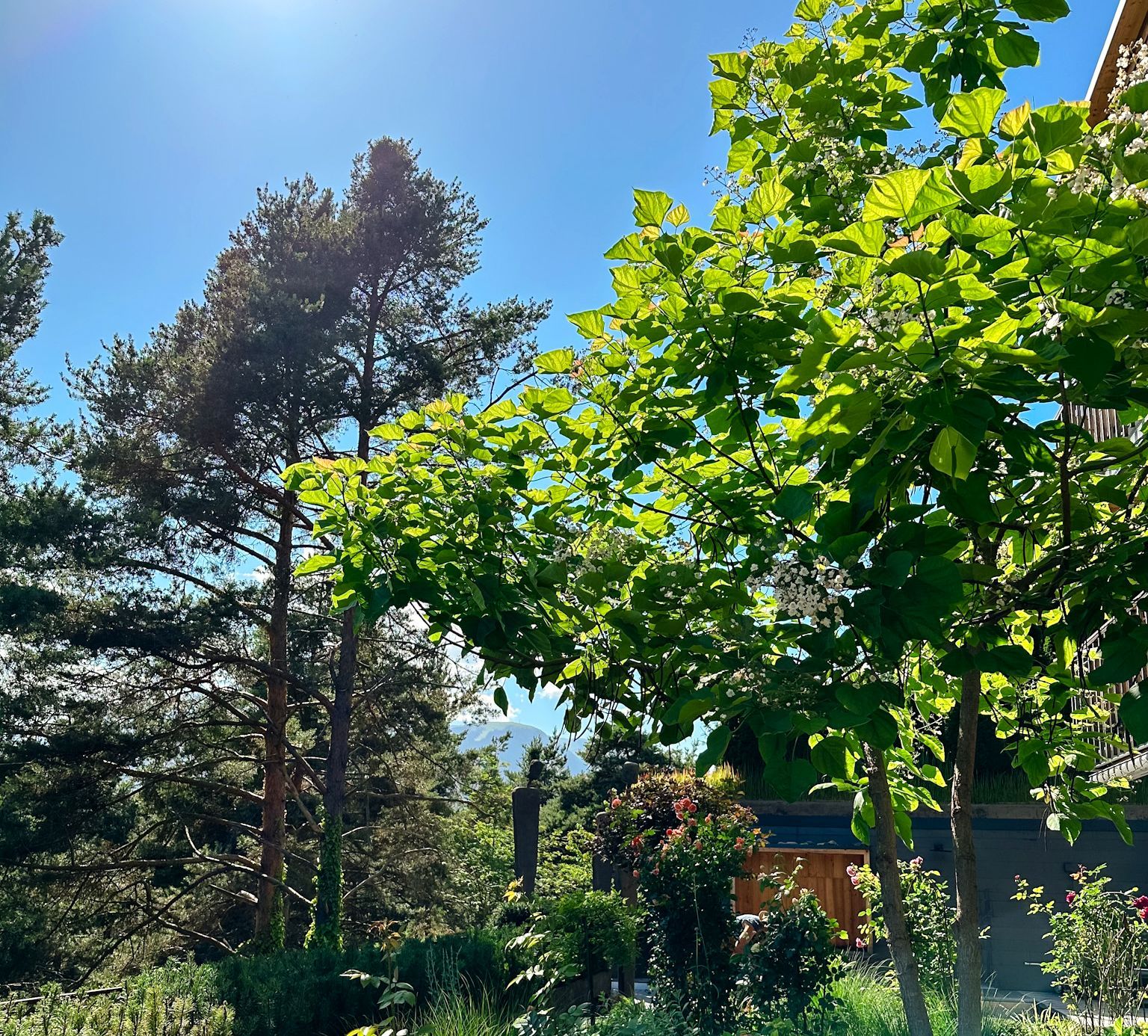 Wegführung in der Gartenumgestaltung