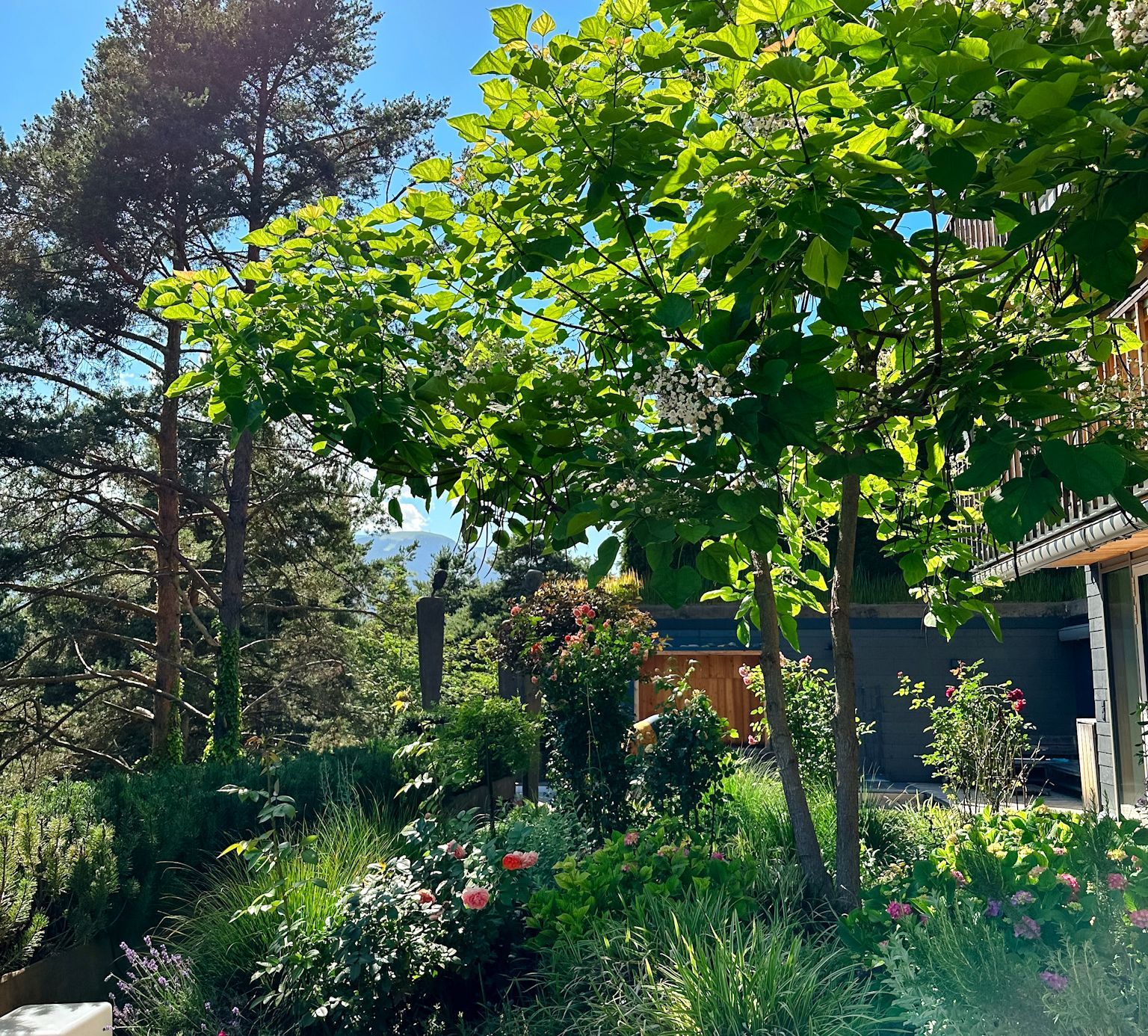 Pflanzung entlang des Gartenwegs