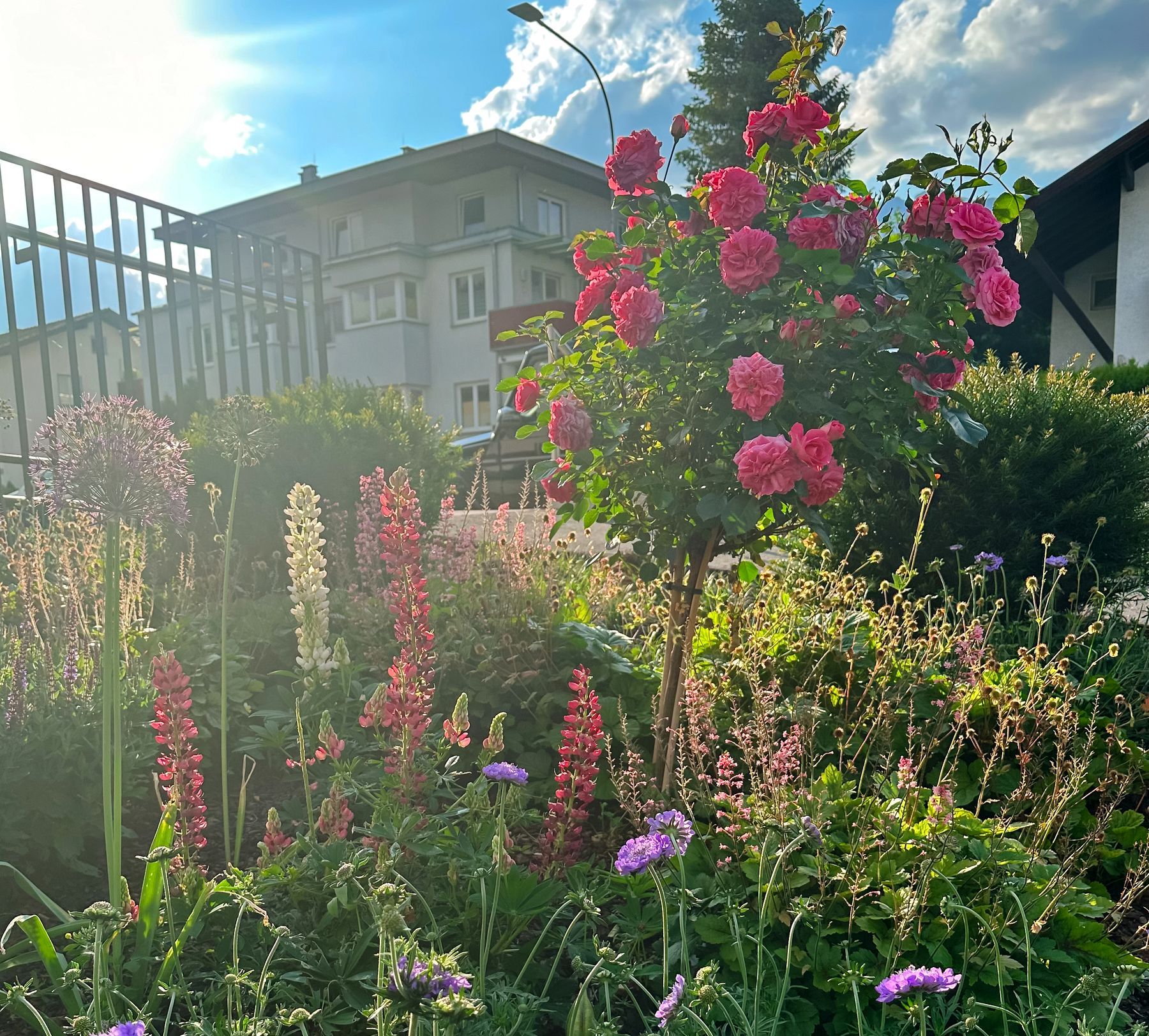 Hanggarten mit Pflanzung