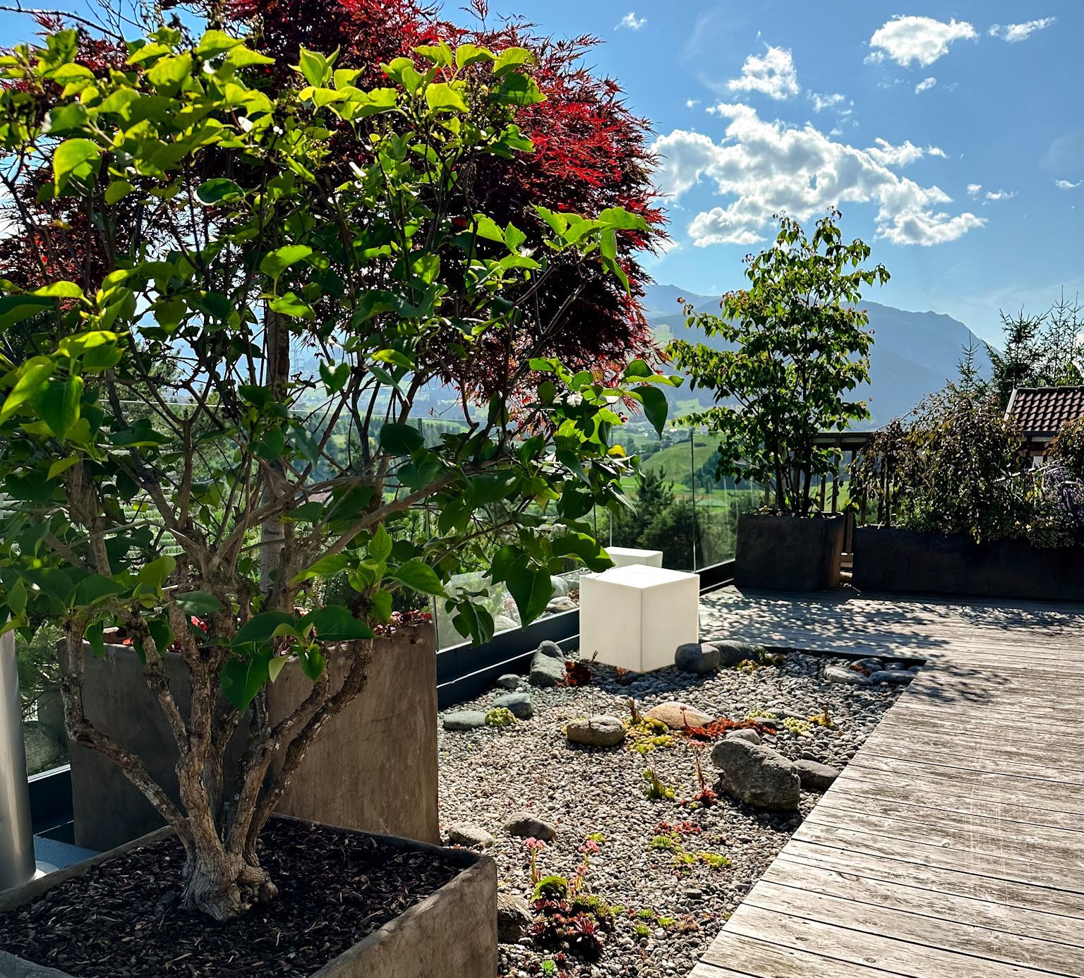 Dachterrasse Imst, Pflanzung und Holz